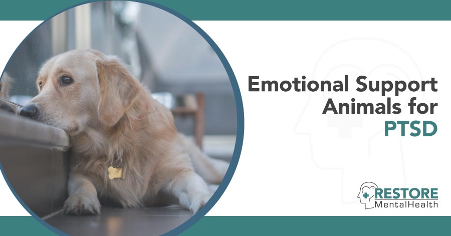 Emotional Support Animal PTSD
